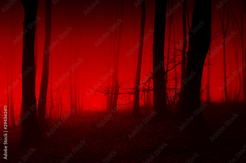 forest scene, red light in scary night landscape Stock Photo | Adobe Stock