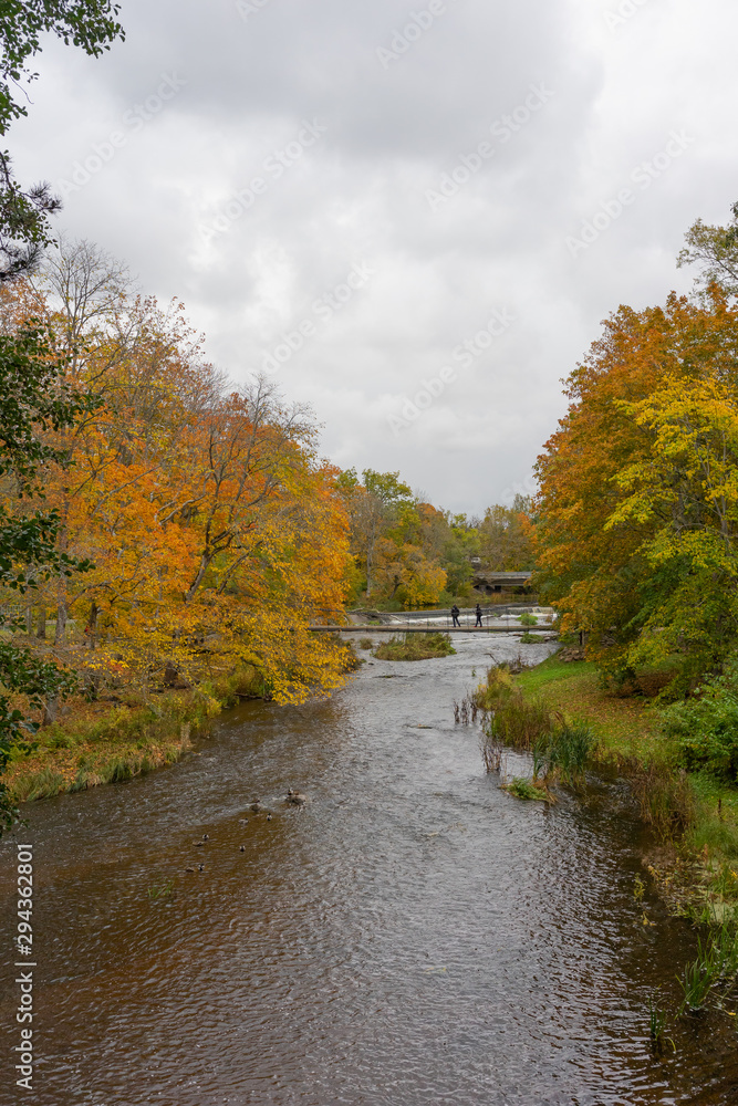 Beautiful Autumn forest in raining day Beautiful Autumn forest in raining day