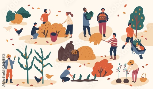 Autumn season harvest gathering flat vector illustration. Farmers working in field, stacking hay. Fruits and vegetables crop collecting. Scenes with gardeners and agricultural and farm workers.