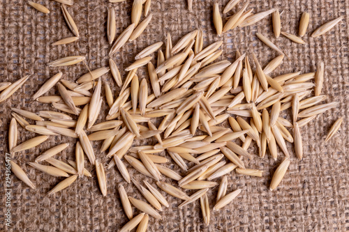 Top view on a group of ripe long unrefined oat seeds scattered on sackcloth