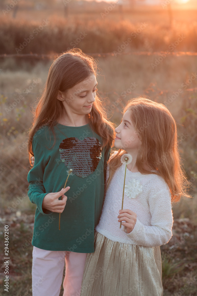 Fototapeta premium Adorable child blowing away dandelion flower