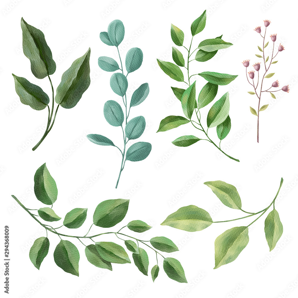 Leaves, herbs, branches, plants watercolor set
