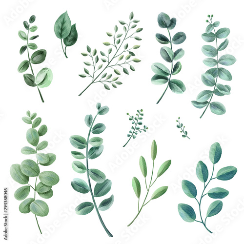 Leaves, herbs, branches watercolor set