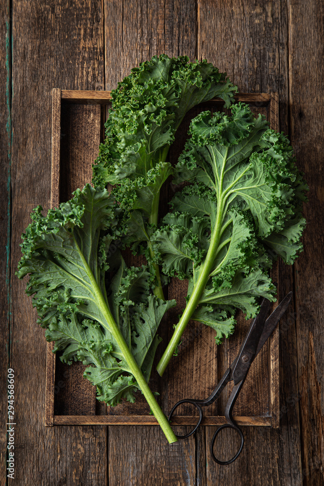 fresh green organic kale leaves - obrazy, fototapety, plakaty 