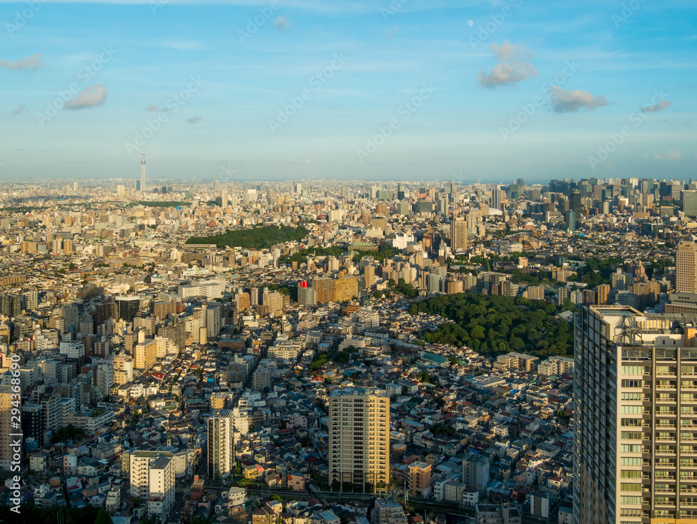 skyline in tokyo