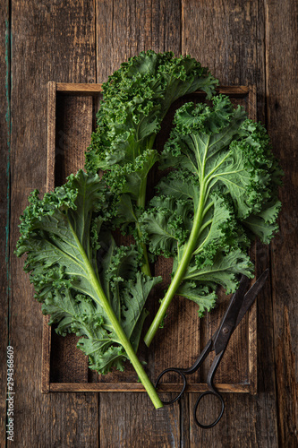 Papier peint fresh green organic kale leaves