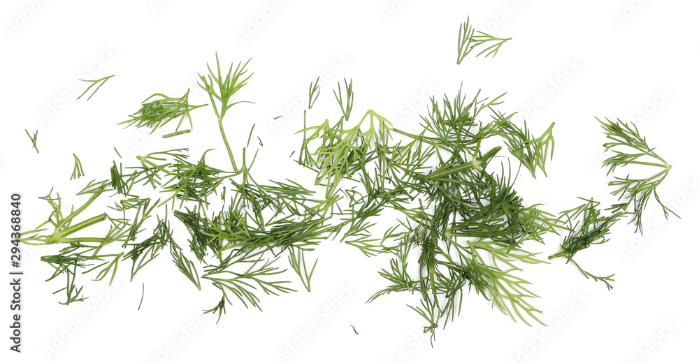 Fresh chopped, cut green dill isolated on white background, top view Fresh chopped, cut green dill isolated on white background, top view