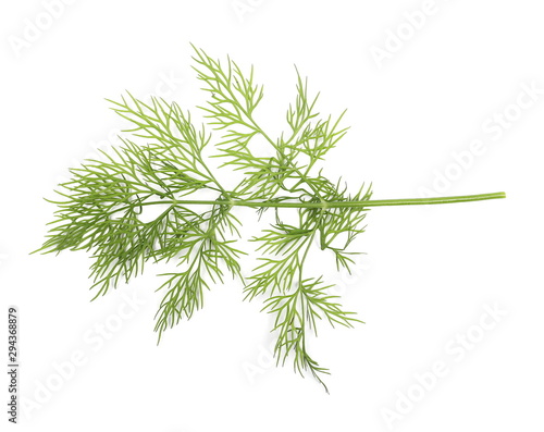Fresh green dill isolated on white background, top view