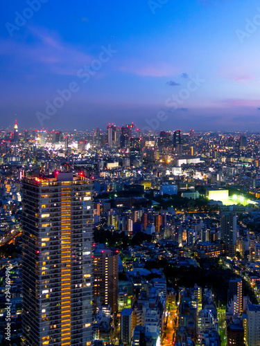 skyline in tokyo © cgwd