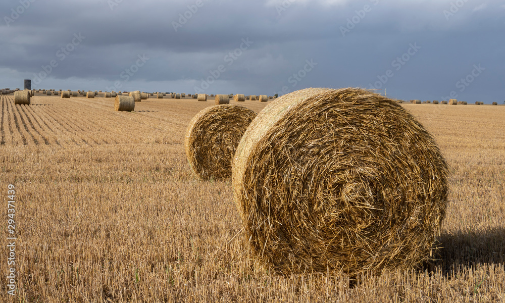 Harvested straw field with round dry hay bales in front of mountain range. Cut and rolled hay bales lay in a fieldhay bales in the sunset. Salisbury, Stonehenge.