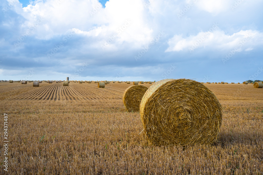 Harvested straw field with round dry hay bales in front of mountain range. Cut and rolled hay bales lay in a fieldhay bales in the sunset. Salisbury, Stonehenge.