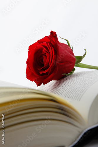  Día de San Valentín , rosa y libro, enamorados, vista cenital. Valentine's Day, rose and book, in love, aerial view