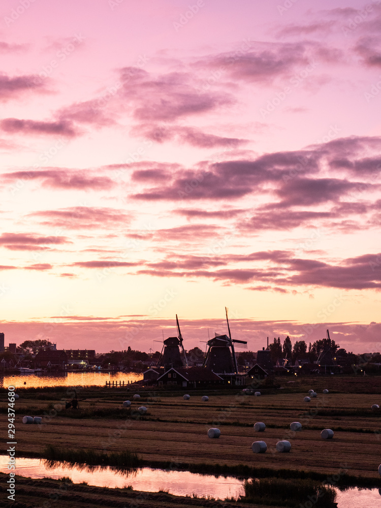 Typical dutch windmills on fields at sunset.