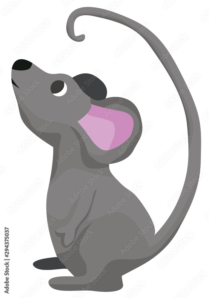 Cartoon mouse flat illustration Cartoon mouse flat illustration