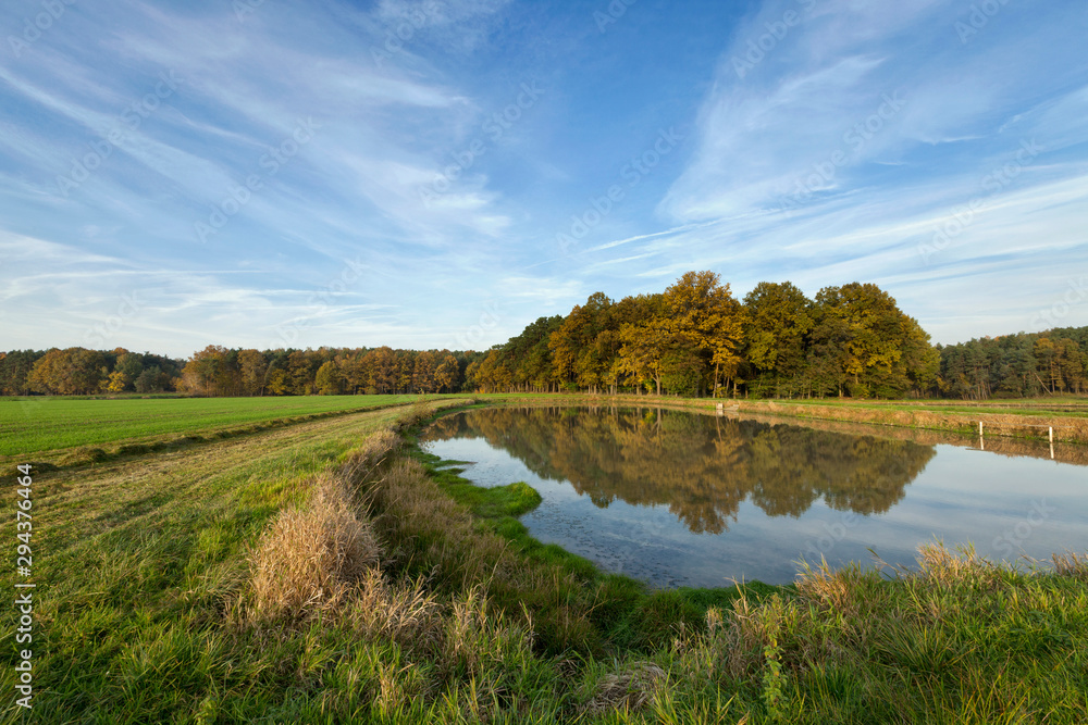 Herbstliche Landschaft mit Teich und Wald