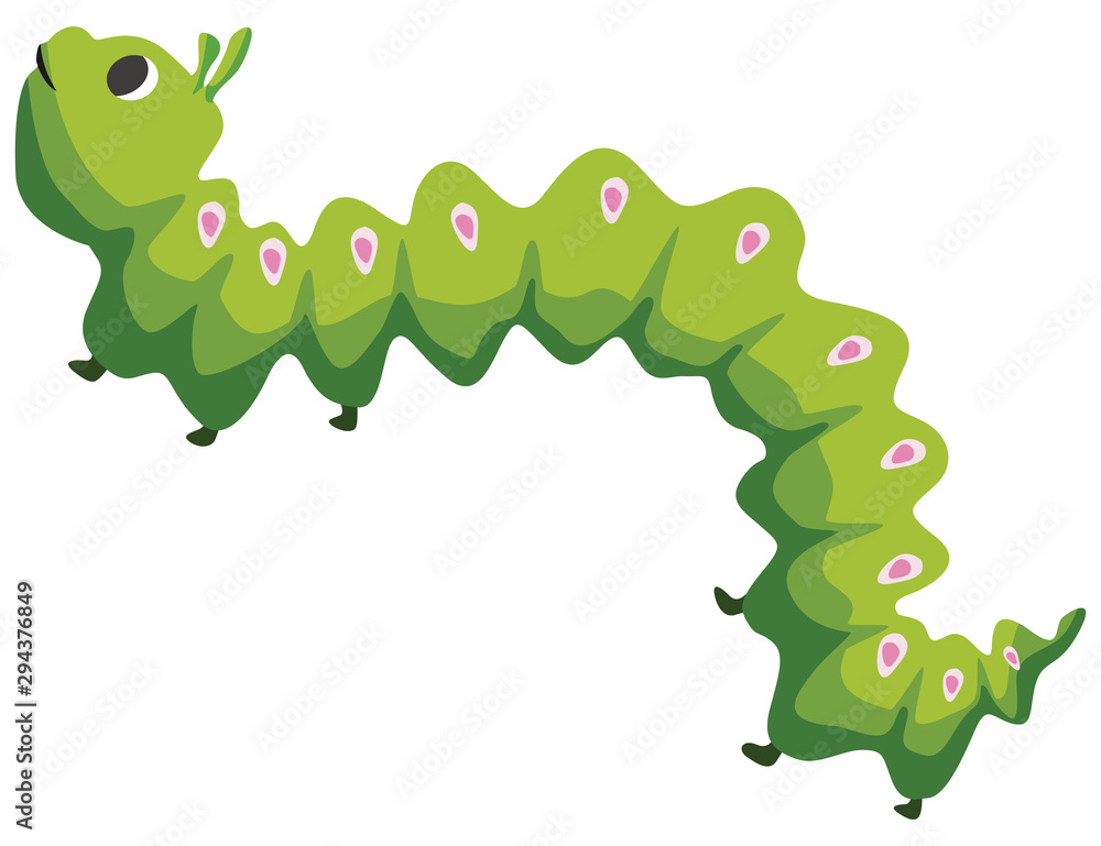Cartoon caterpillar flat vector illustration Cartoon caterpillar flat vector illustration
