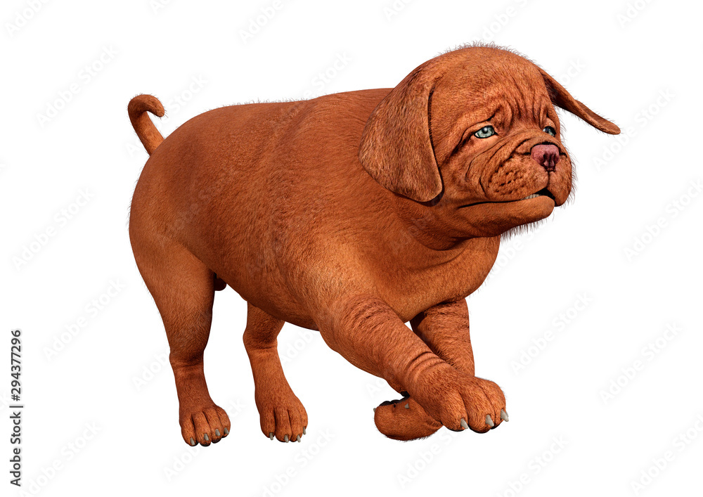 3D Rendering Puppy on White