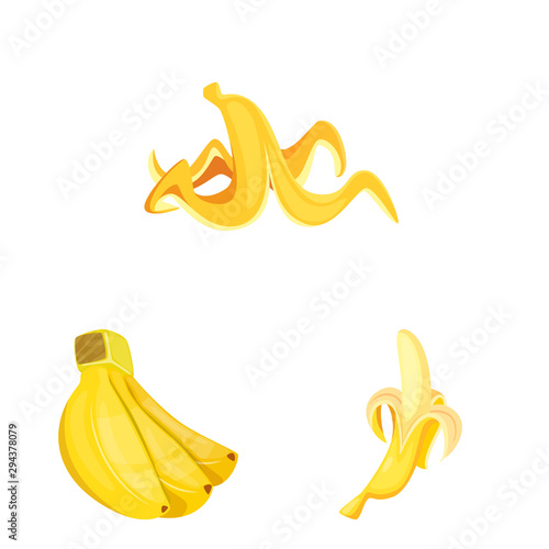 Vector design of tropical and ripe symbol. Collection of tropical and potassium vector icon for stock.