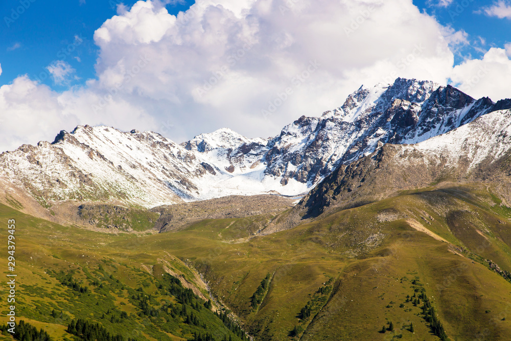 Fototapeta premium Mountain summer landscape. Snowy mountains and green grass. Peak Karakol Kyrgyzstan.