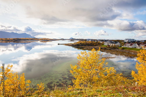 Autumn colors from residential area at Mosheim in Bronnoy municipality  Northern Norway