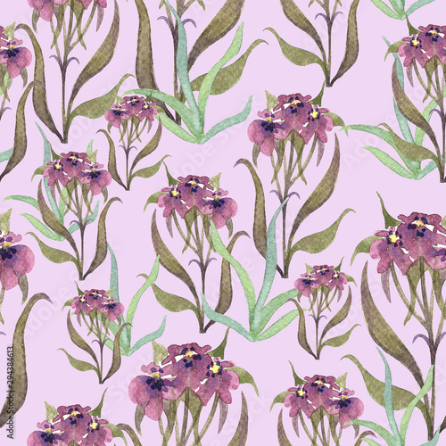 Floral watercolor seamless pattern with wild flowers and herbs. photo