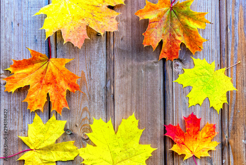 Autumn composition with maple leaves on wooden background, fall concept, copy...