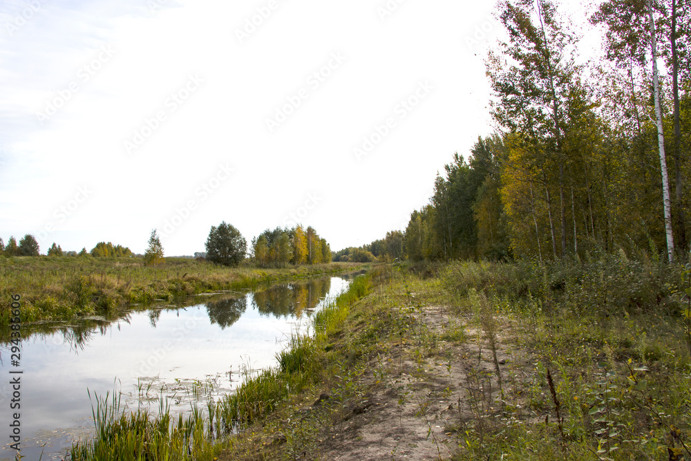 Bulrush, cattail, sedge. Pristine river. Belarusian Polesie. Wind. Autumn. Bright autumn colors. Flowing water. Wind on the river. Wild nature. Bulrush, cattail, sedge. Pristine river. Belarusian Polesie. Wind. Autumn. Bright autumn colors. Flowing water. Wind on the river. Wild nature.
