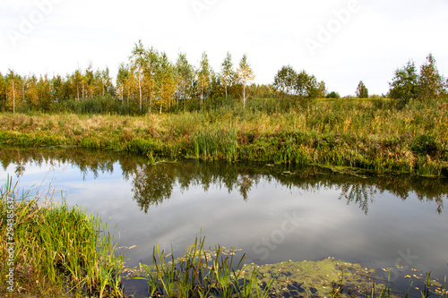 Bulrush, cattail, sedge. Pristine river. Belarusian Polesie. Wind. Autumn. Bright autumn colors. Flowing water. Wind on the river. Wild nature.
