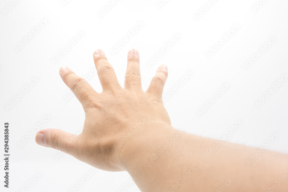Palm close-up isolated over a white background Palm close-up isolated over a white background