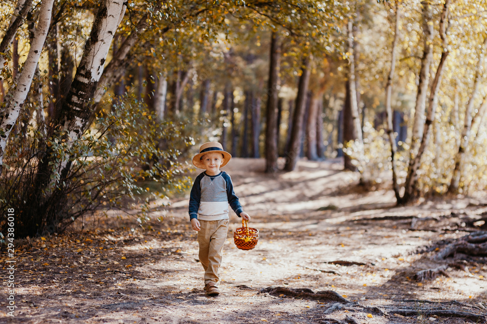 Stylish boy in a hat with a basket. boy in the park in a hat with a basket in autumn Stylish boy in a hat with a basket. boy in the park in a hat with a basket in autumn
