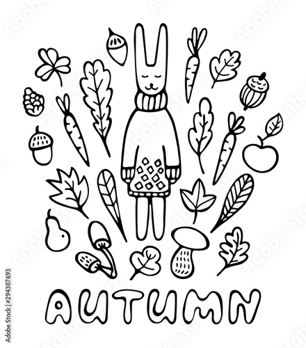 Autumn card. Hand drawn rabbit wearing knitted scarf surrounded by leaves, mushrooms, carrots, acorns, and fruits. Black and white doodle vector illustration. © dzha