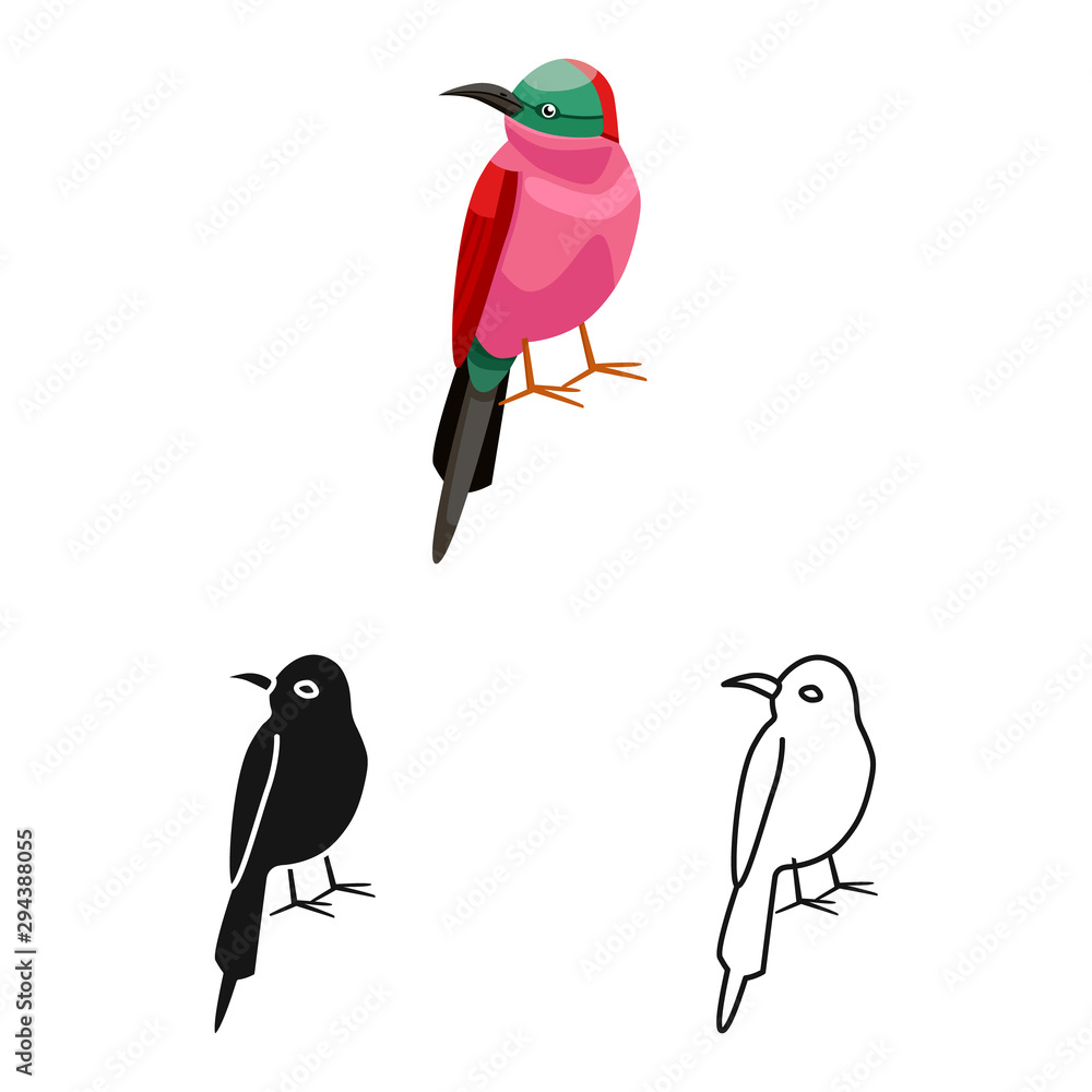 Fototapeta premium Vector illustration of bird and bee-eater icon. Collection of bird and wing stock vector illustration.