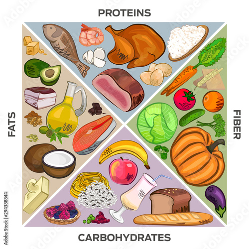 Diet, diet proteins, fats, carbohydrates, fiber, vector illustration