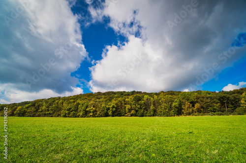 Landschaft mit Herbstwald