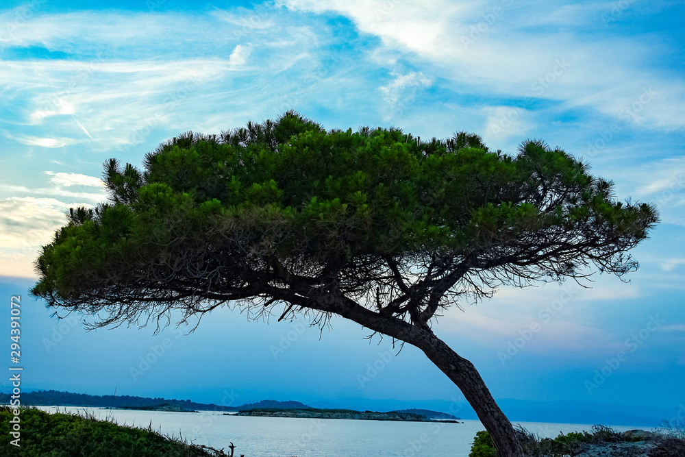 beautiful nature by the sea against the background of Greece silhouette