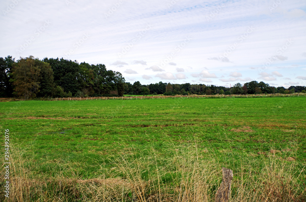 range land with pale blue sky