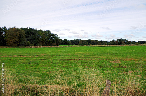 range land with pale blue sky