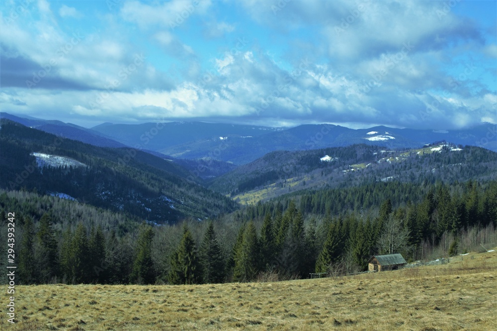 spring in the Carpathians