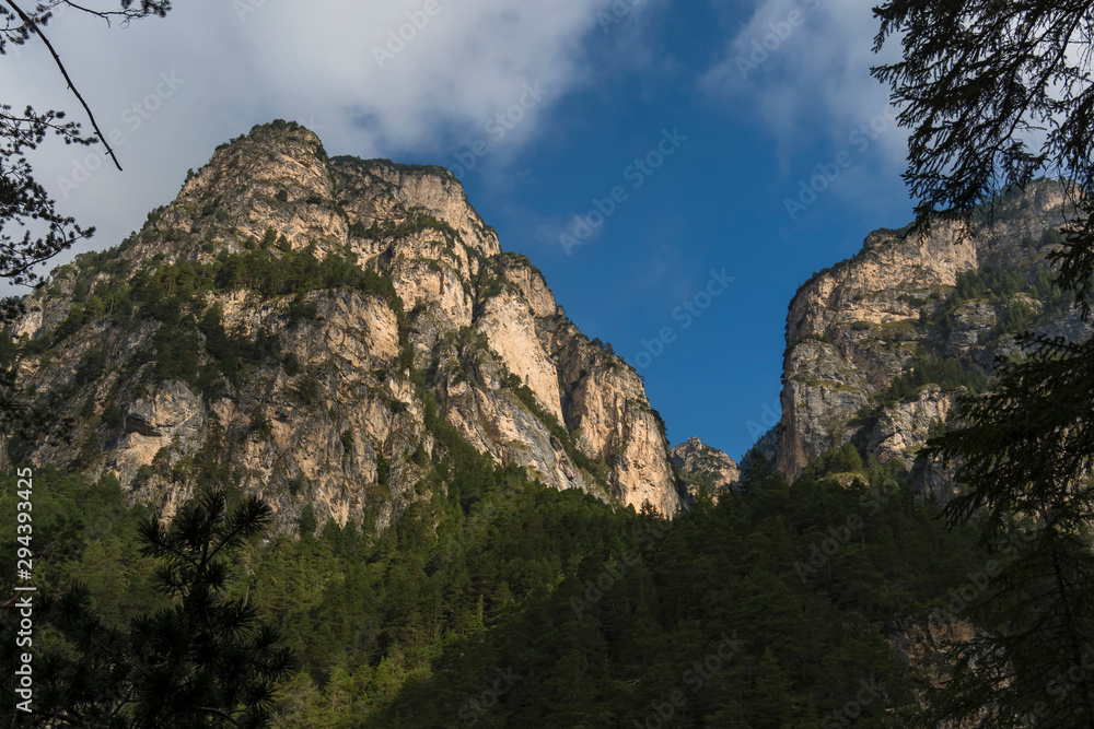 Fototapeta premium Alto adige Italy natur outdoor sunny day