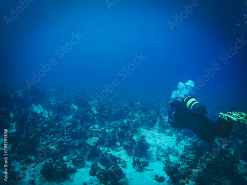 Diving in Maria la gorda © steven