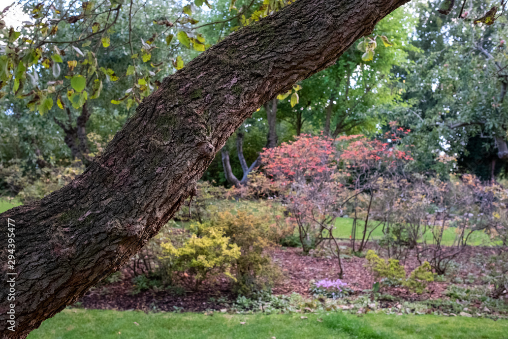 Park outside the walled garden at Eastcote House Gardens, photographed in autumn, Eastcote Hillingdon, UK Park outside the walled garden at Eastcote House Gardens, photographed in autumn, Eastcote Hillingdon, UK