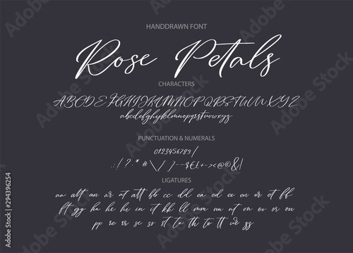 Hand drawn calligraphic vector font. Distress grunge texture. Modern script calligraphy type. ABC typography latin alphabet.