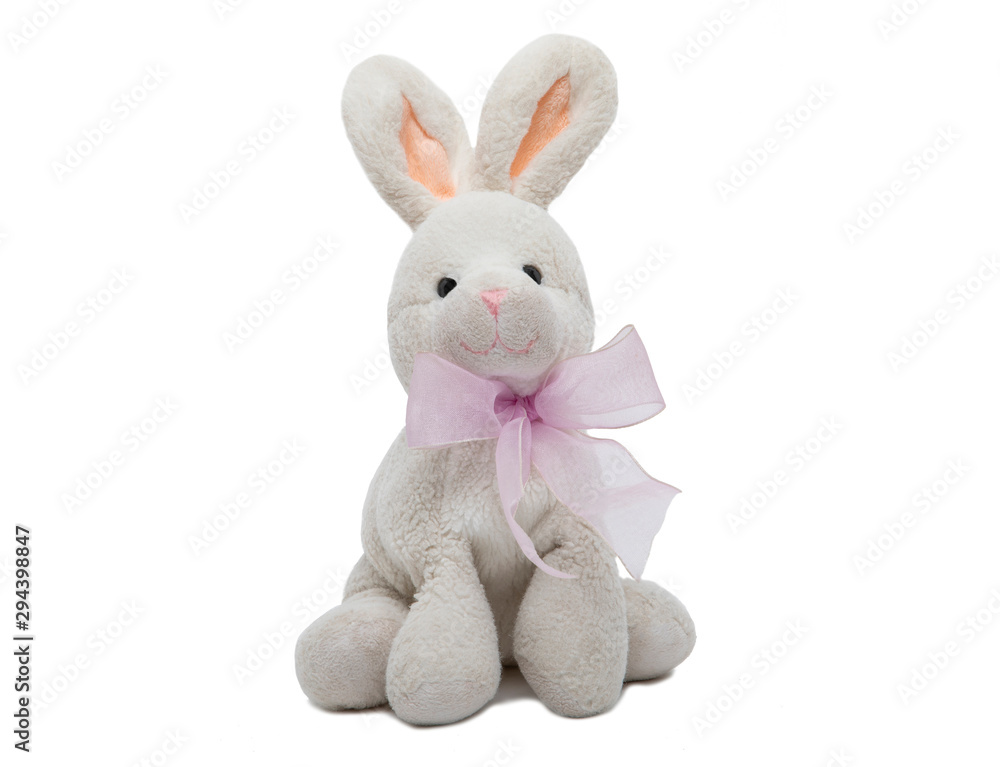 teddy rabbit in white background