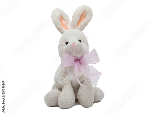 teddy rabbit in white background