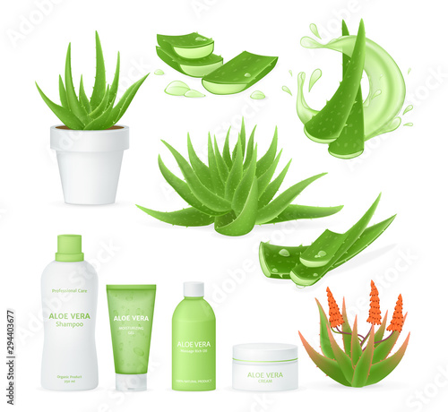 Aloe vera realistic set with fresh drops of water, medicinal plant leaves cut pieces with juice drops. Cosmetic packaging, perfumes, oils, shampoo, gel, skincare cream aloe vera. Vector isolated