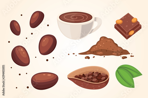 Cocoa set with organic cacao beans, chocolate powder and cocoa pods with seeds vector illustration.