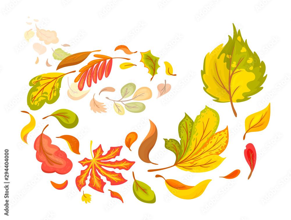 Composition of flying autumn colorful leaves. Colored isolated beautiful autumn elements fall leaves. Leaves fall, swirl in the autumn time vector cartoon illustration isolated.