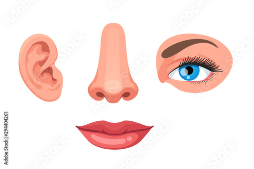 Four human face parts or sensory organs set