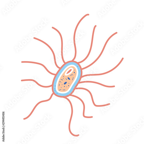 Bacterias cell Vector illustartion in doodle style
