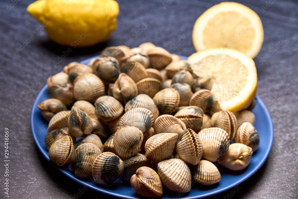 view of fresh cockles on a plate view of fresh cockles on a plate